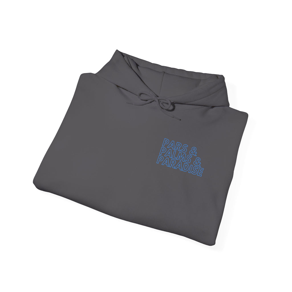 Palm City - The Turn Hoodie